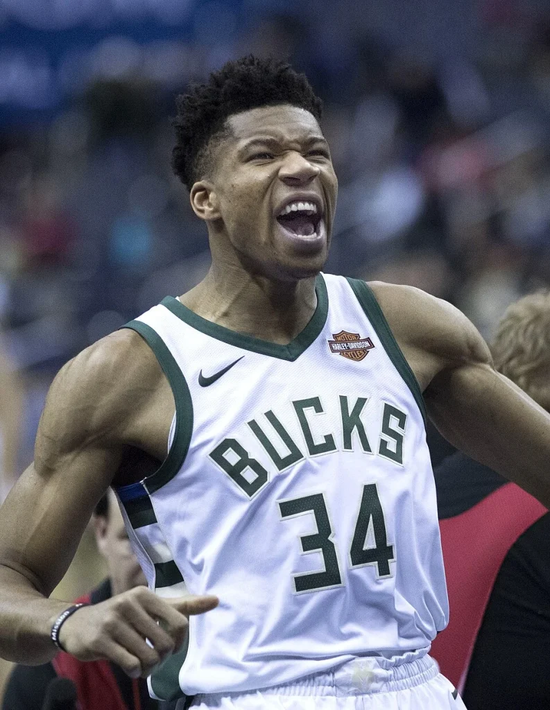 Giannis Antetokounmpo（揚尼斯·安戴托昆波），熱火，F